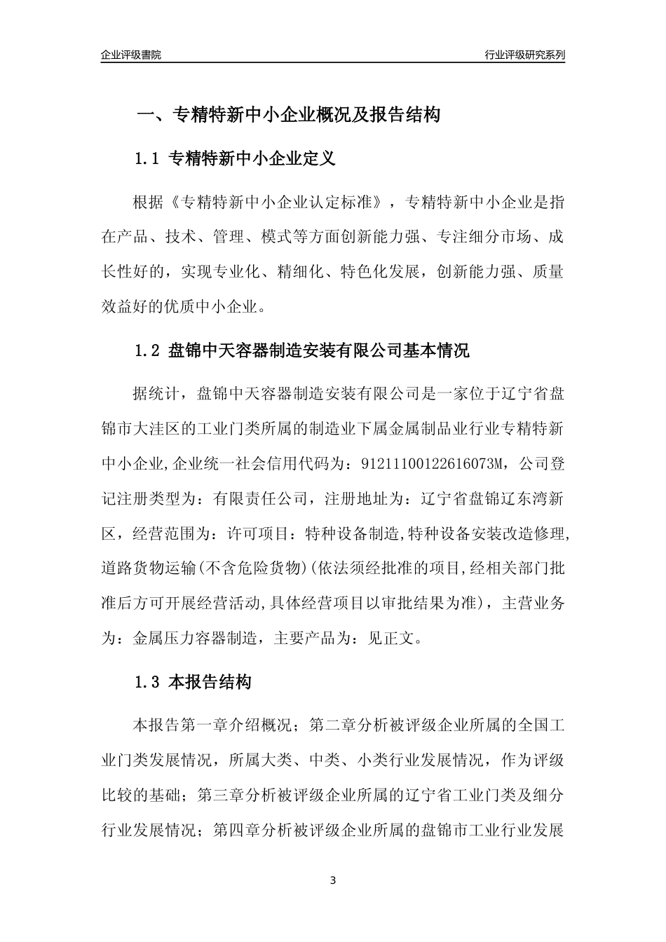 [专精特新]盘锦中天容器制造安装有限公司行业竞争力评级分析报告(2023版)_第3页