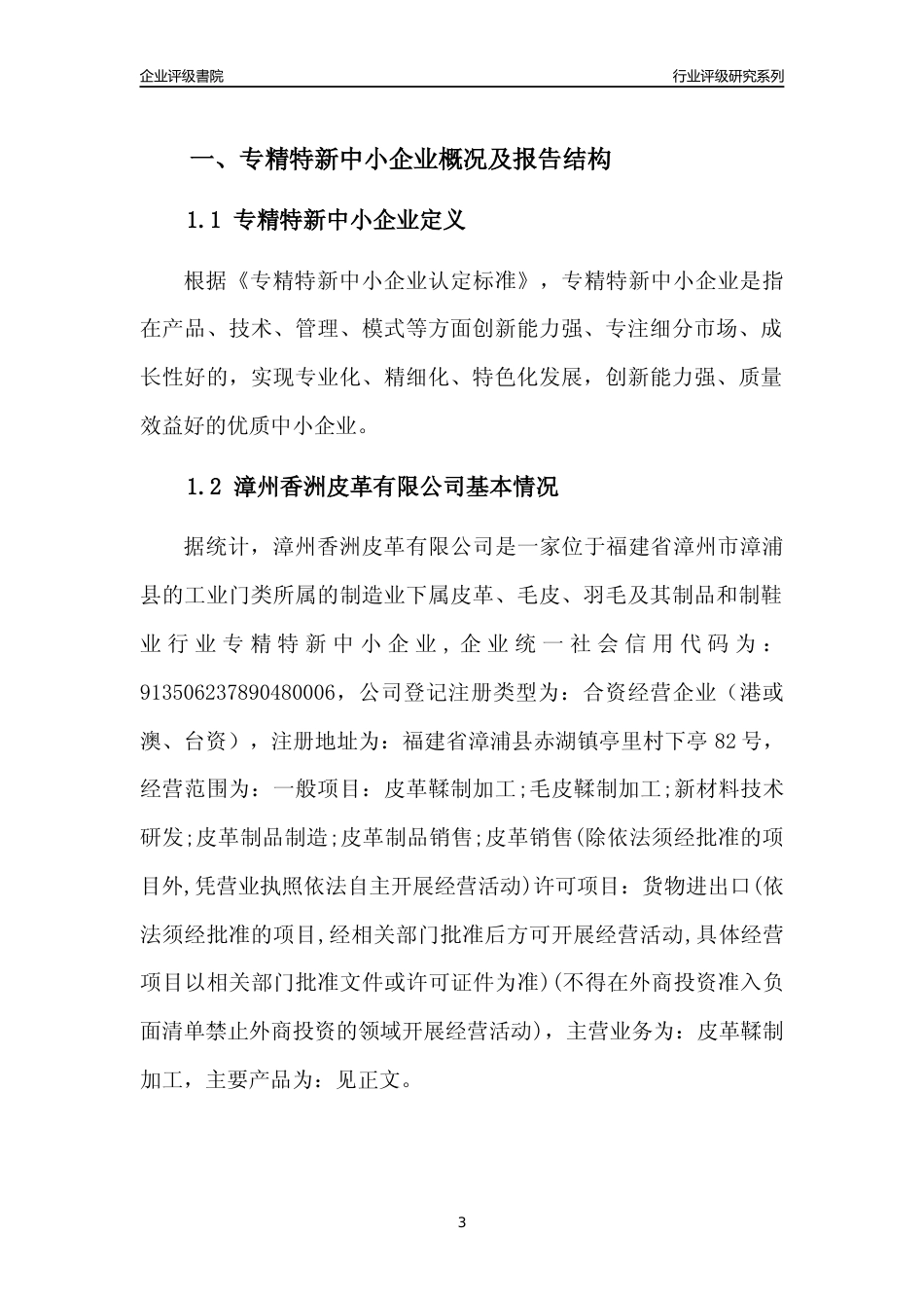 [专精特新]漳州香洲皮革有限公司行业竞争力评级分析报告(2023版)_第3页