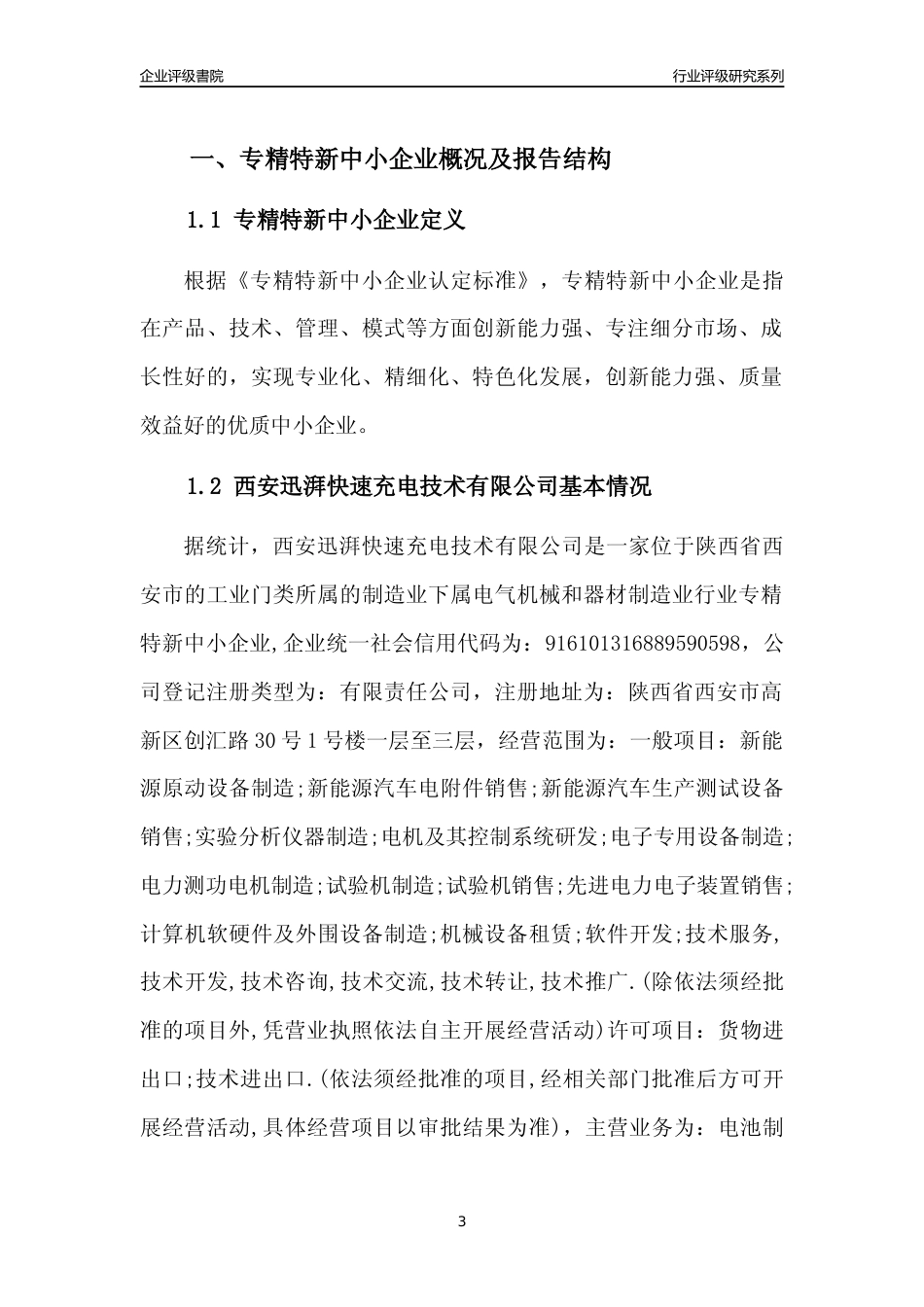 [专精特新]西安迅湃快速充电技术有限公司行业竞争力评级分析报告(2023版)_第3页