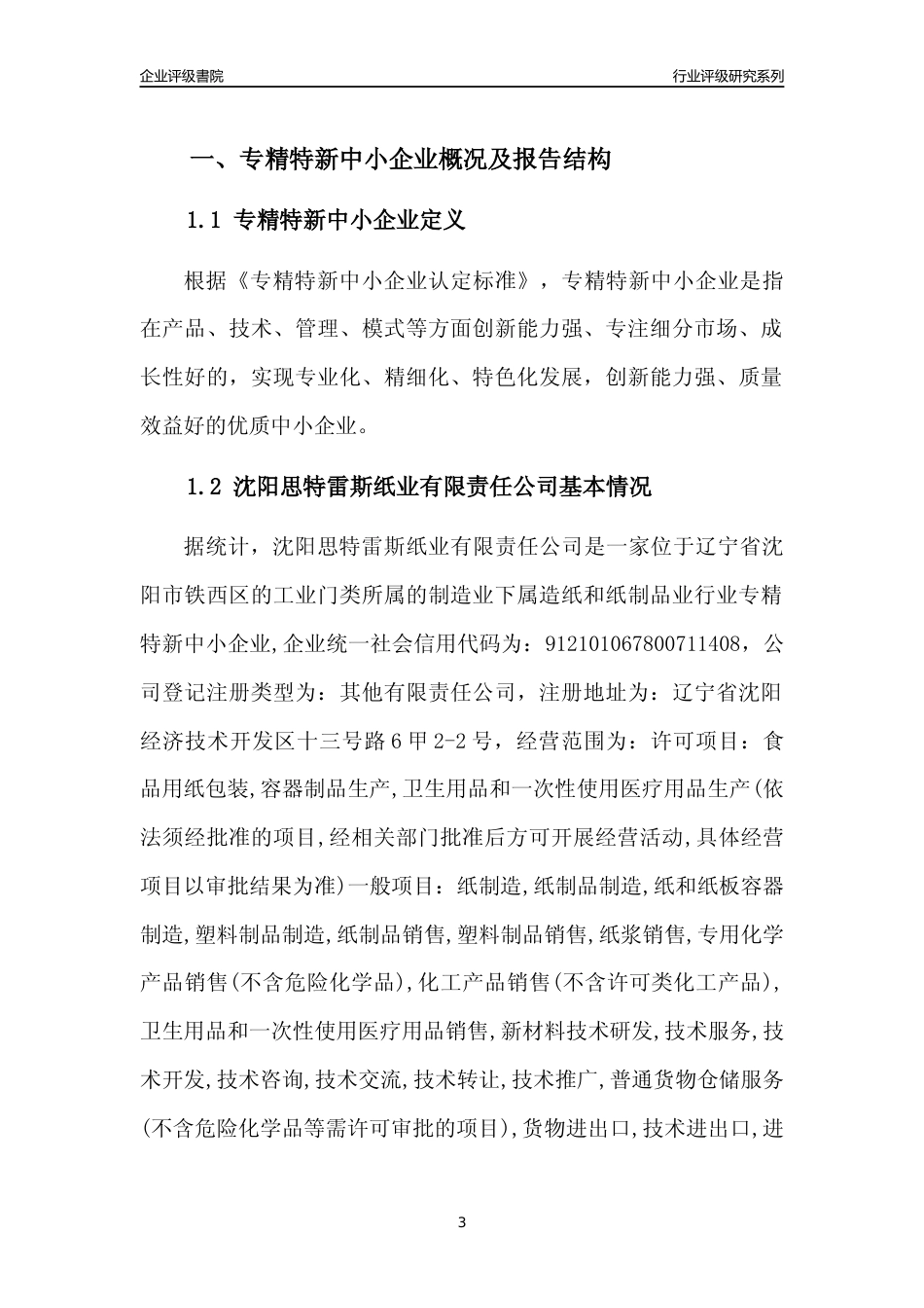 [专精特新]沈阳思特雷斯纸业有限责任公司行业竞争力评级分析报告(2023版)_第3页