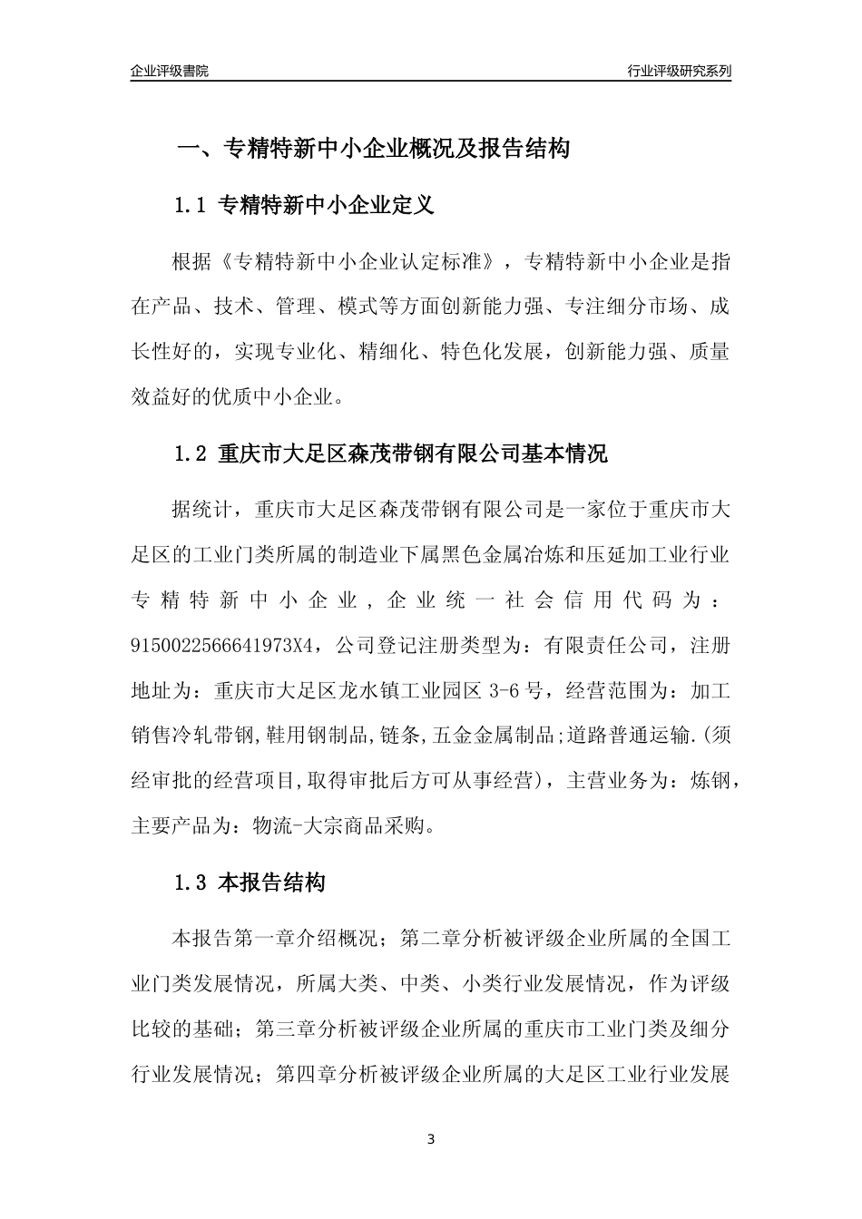 [专精特新]重庆市大足区森茂带钢有限公司行业竞争力评级分析报告(2023版)_第3页
