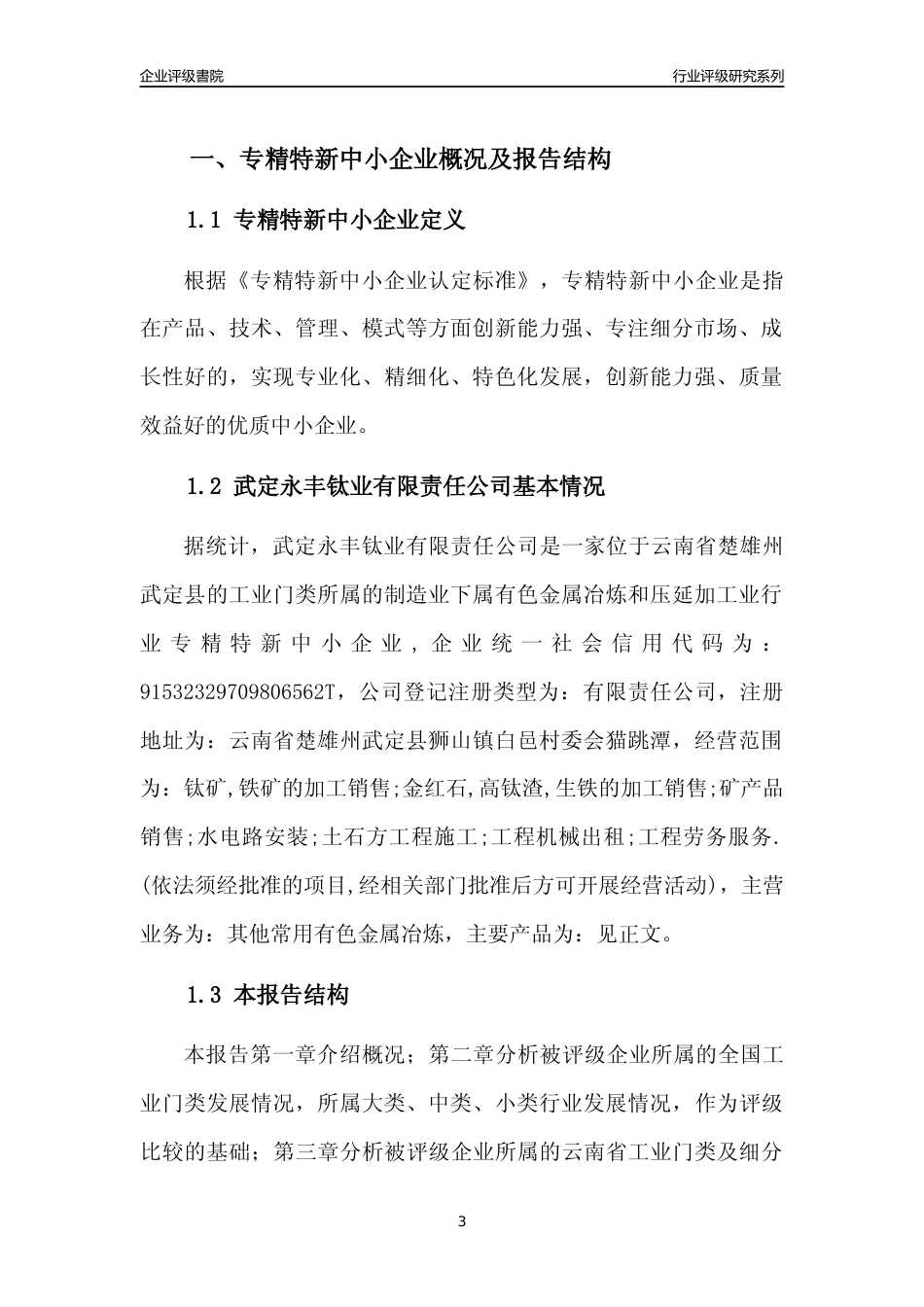 [专精特新]武定永丰钛业有限责任公司行业竞争力评级分析报告(2023版)_第3页