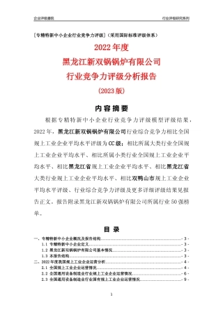 [专精特新]黑龙江新双锅锅炉有限公司行业竞争力评级分析报告(2023版)