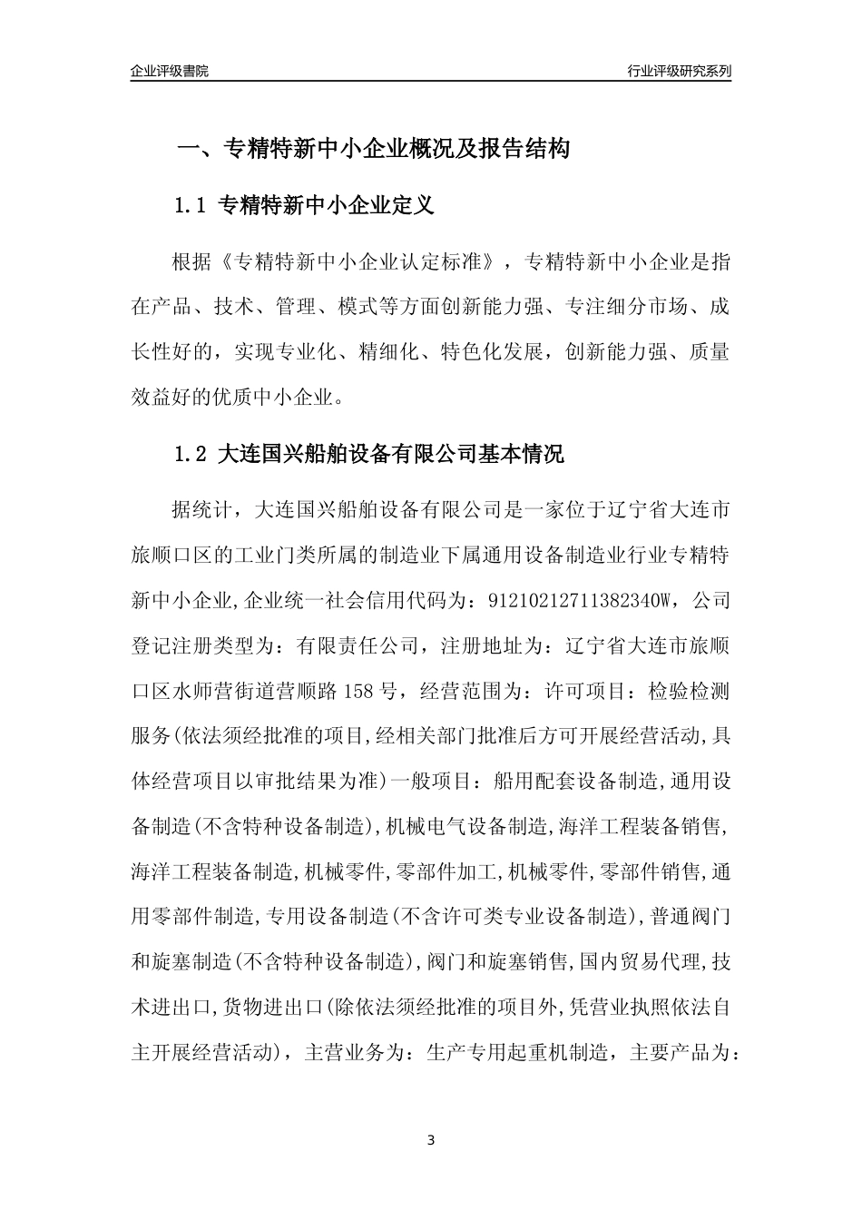 [专精特新]大连国兴船舶设备有限公司行业竞争力评级分析报告(2023版)_第3页
