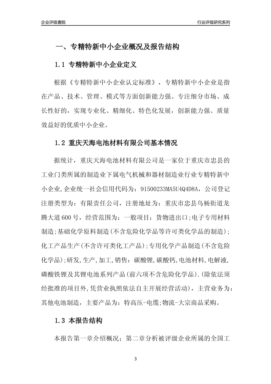 [专精特新]重庆天海电池材料有限公司行业竞争力评级分析报告(2023版)_第3页