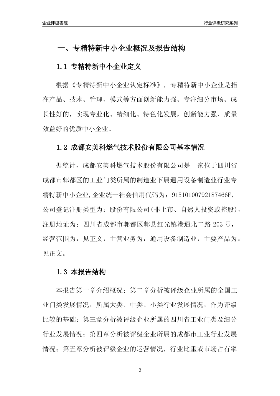 [专精特新]成都安美科燃气技术股份有限公司行业竞争力评级分析报告(2023版)_第3页