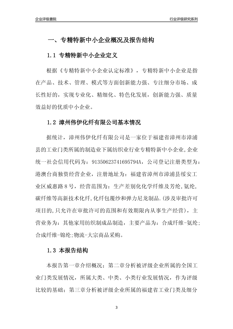 [专精特新]漳州伟伊化纤有限公司行业竞争力评级分析报告(2023版)_第3页