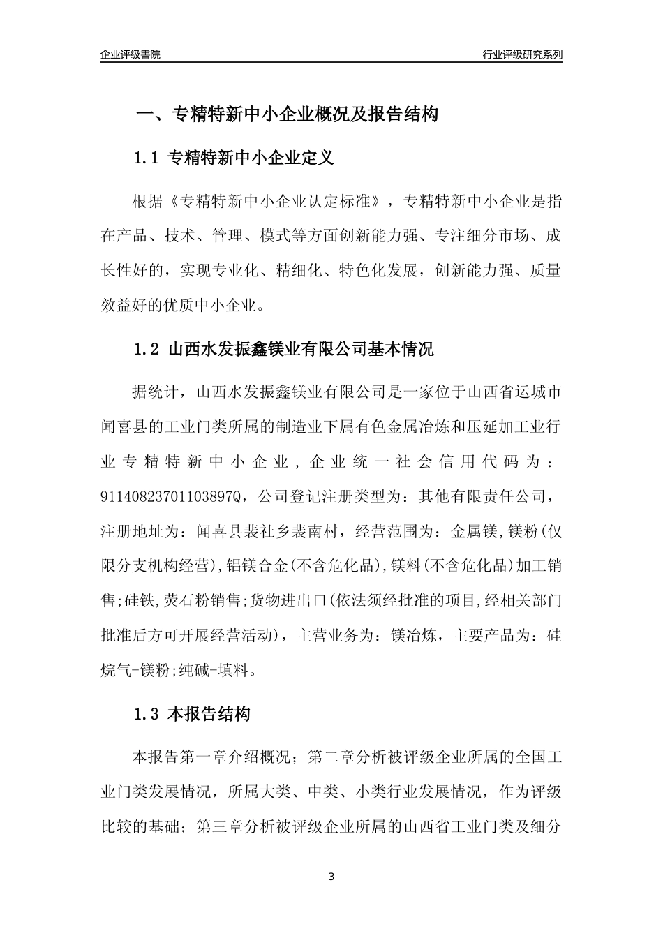 [专精特新]山西水发振鑫镁业有限公司行业竞争力评级分析报告(2023版)_第3页