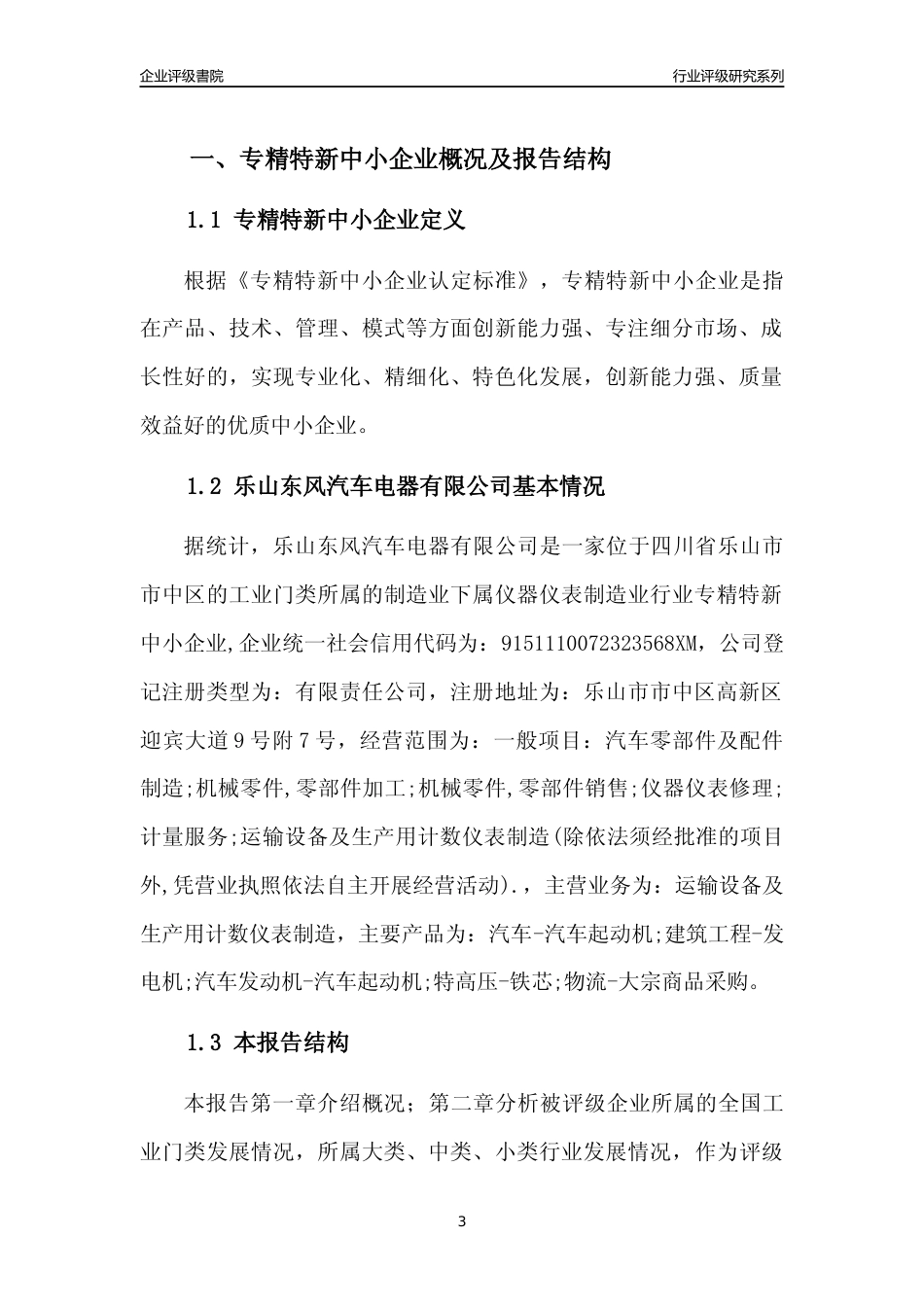 [专精特新]乐山东风汽车电器有限公司行业竞争力评级分析报告(2023版)_第3页