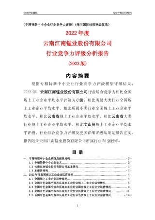 [专精特新]云南江南锰业股份有限公司行业竞争力评级分析报告(2023版)