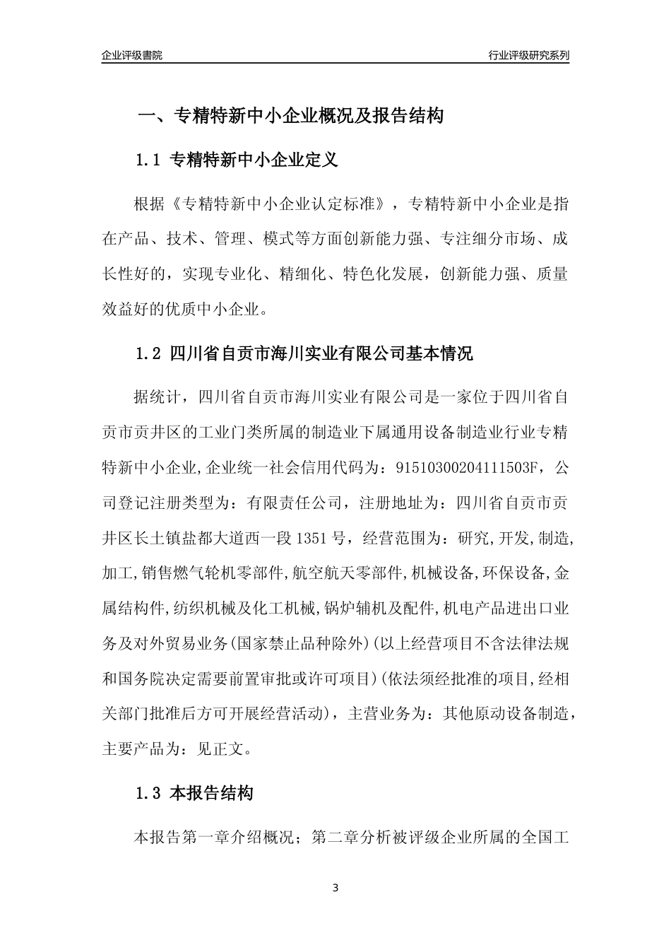 [专精特新]四川省自贡市海川实业有限公司行业竞争力评级分析报告(2023版)_第3页