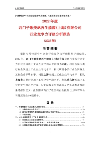 [专精特新]西门子歌美飒再生能源(上海)有限公司行业竞争力评级分析报告(2023版)