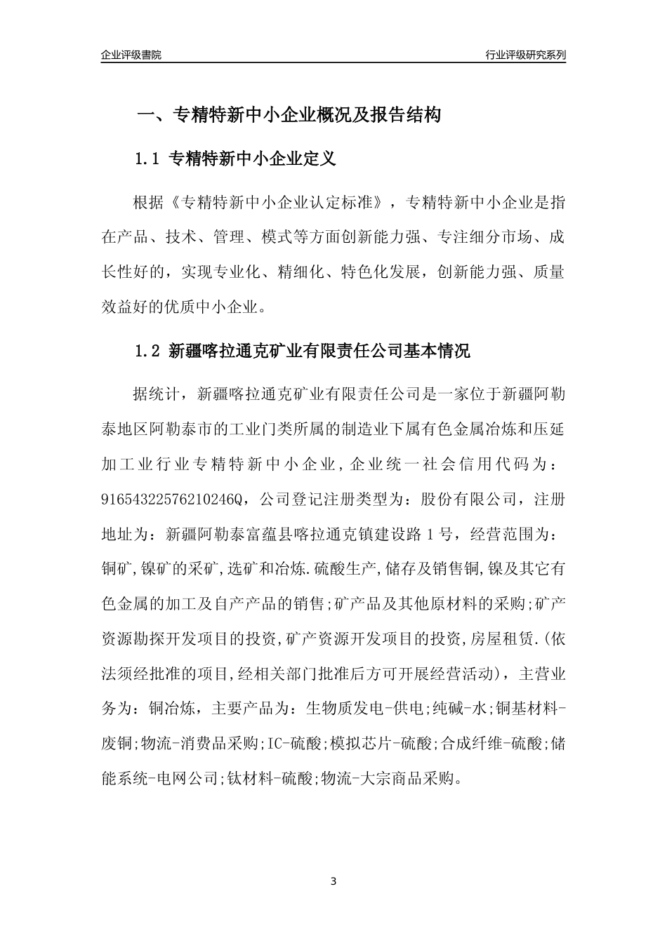 [专精特新]新疆喀拉通克矿业有限责任公司行业竞争力评级分析报告(2023版)_第3页