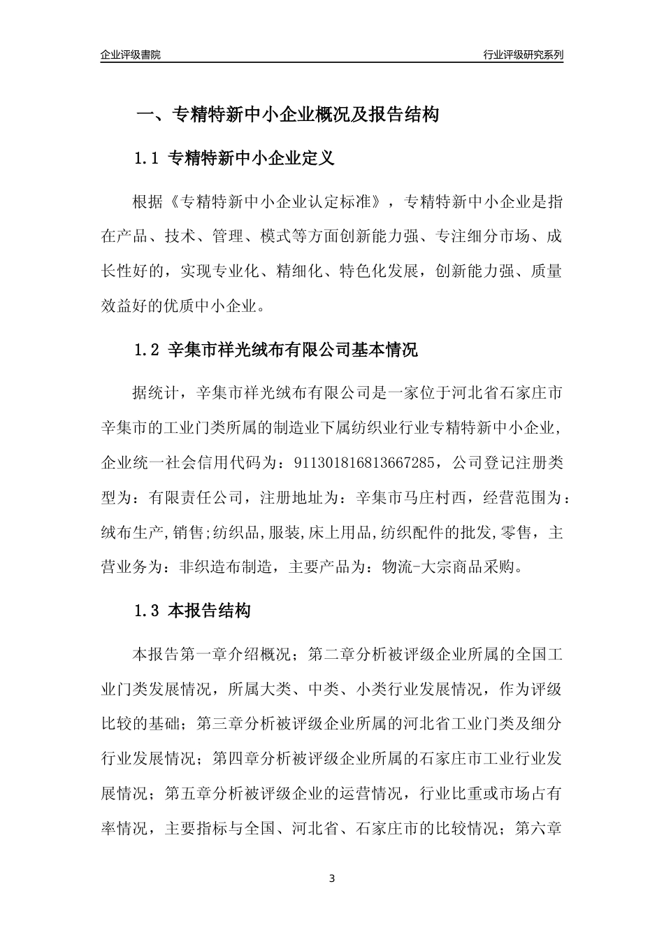 [专精特新]辛集市祥光绒布有限公司行业竞争力评级分析报告(2023版)_第3页