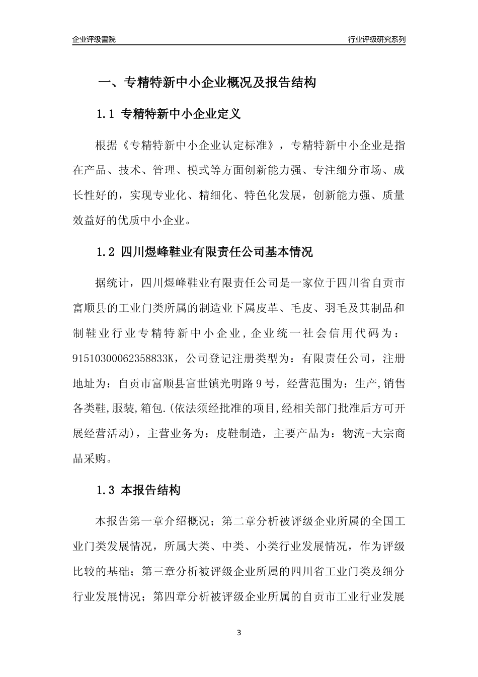 [专精特新]四川煜峰鞋业有限责任公司行业竞争力评级分析报告(2023版)_第3页