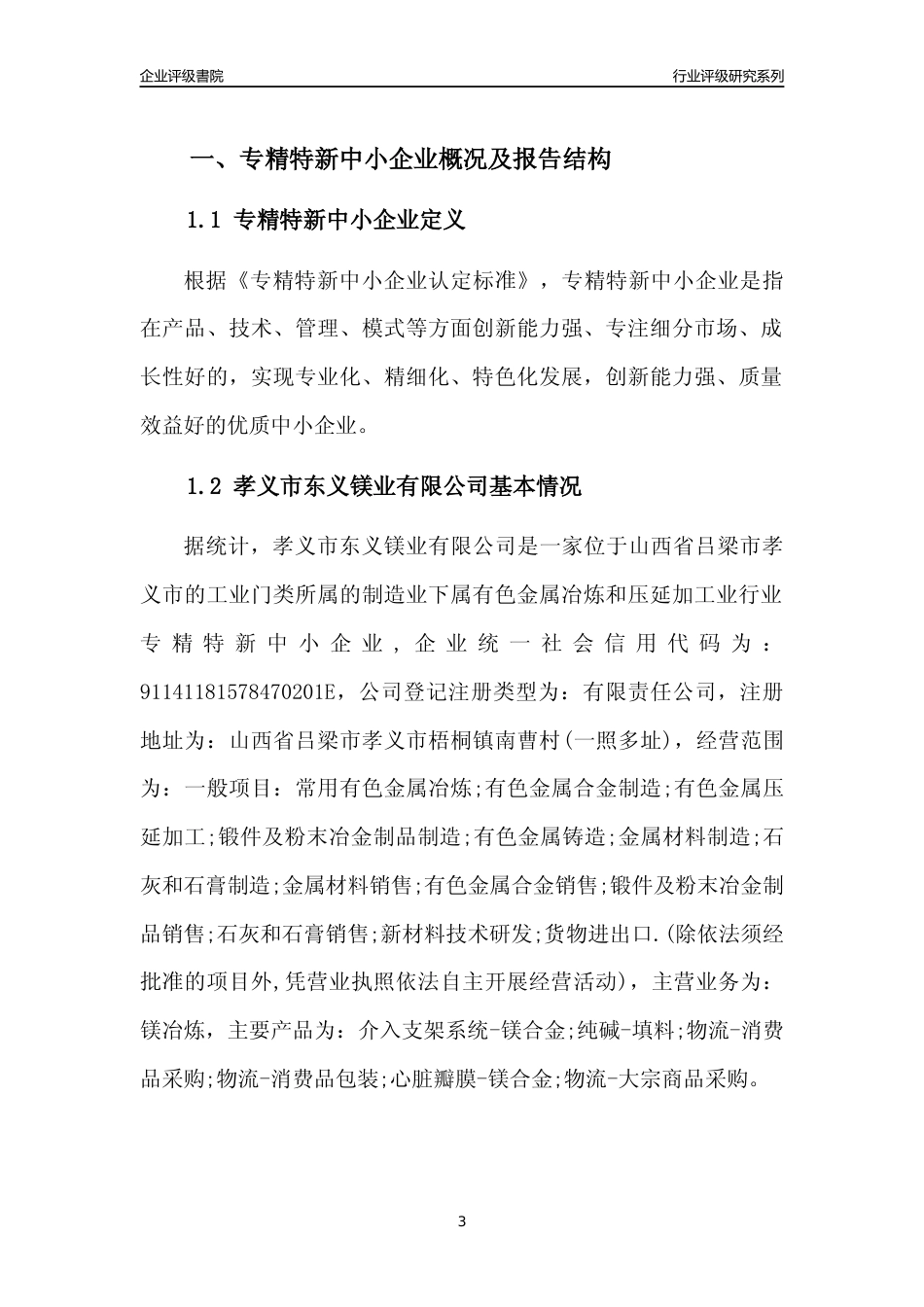 [专精特新]孝义市东义镁业有限公司行业竞争力评级分析报告(2023版)_第3页