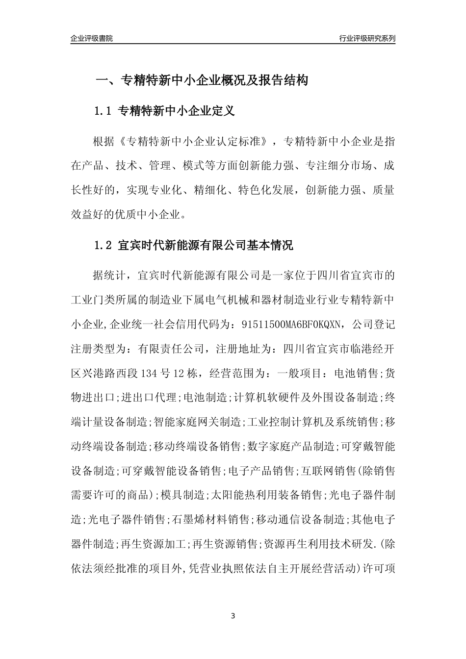 [专精特新]宜宾时代新能源有限公司行业竞争力评级分析报告(2023版)_第3页