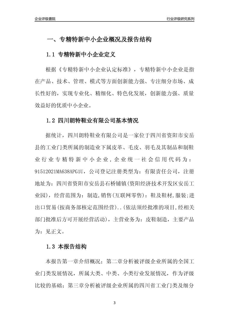 [专精特新]四川朗特鞋业有限公司行业竞争力评级分析报告(2023版)_第3页