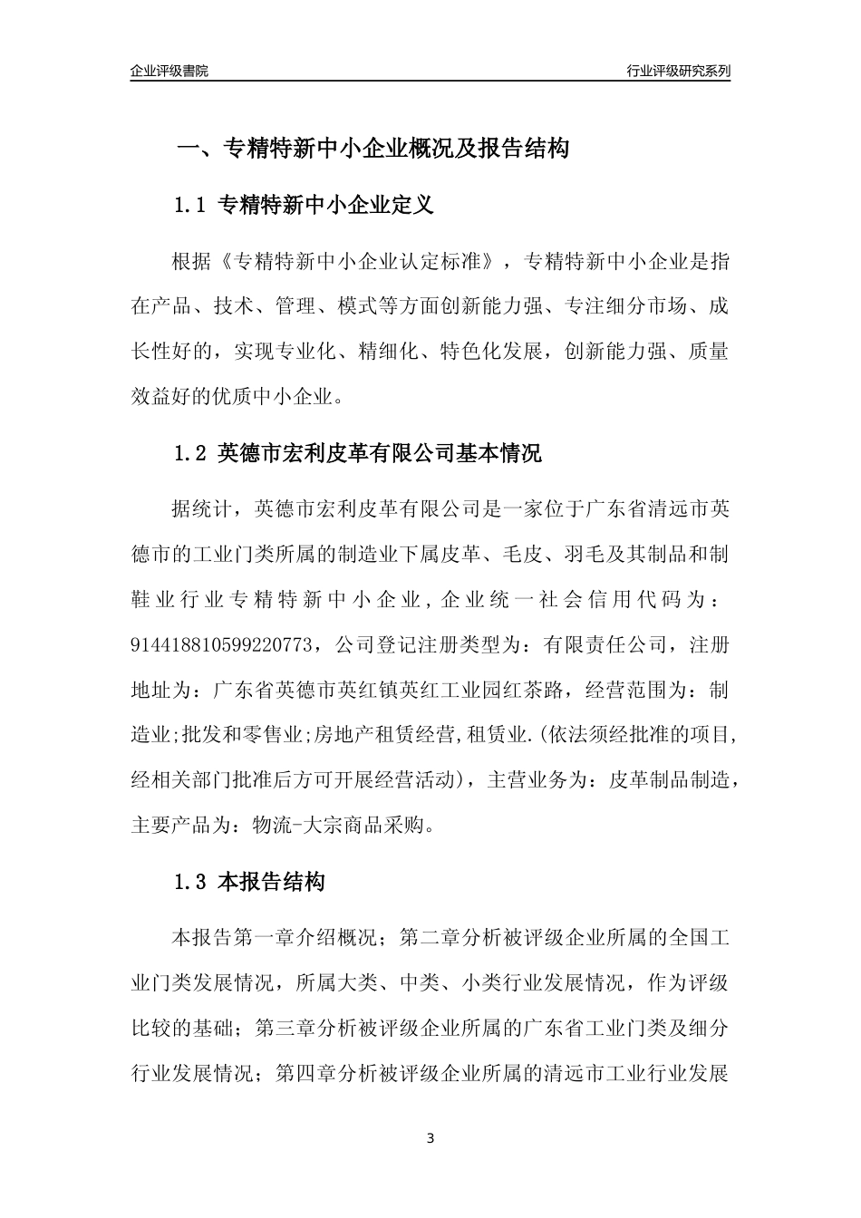 [专精特新]英德市宏利皮革有限公司行业竞争力评级分析报告(2023版)_第3页