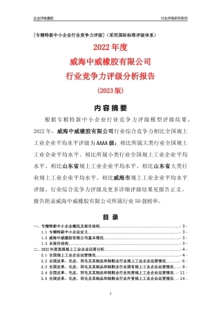 [专精特新]威海中威橡胶有限公司行业竞争力评级分析报告(2023版)