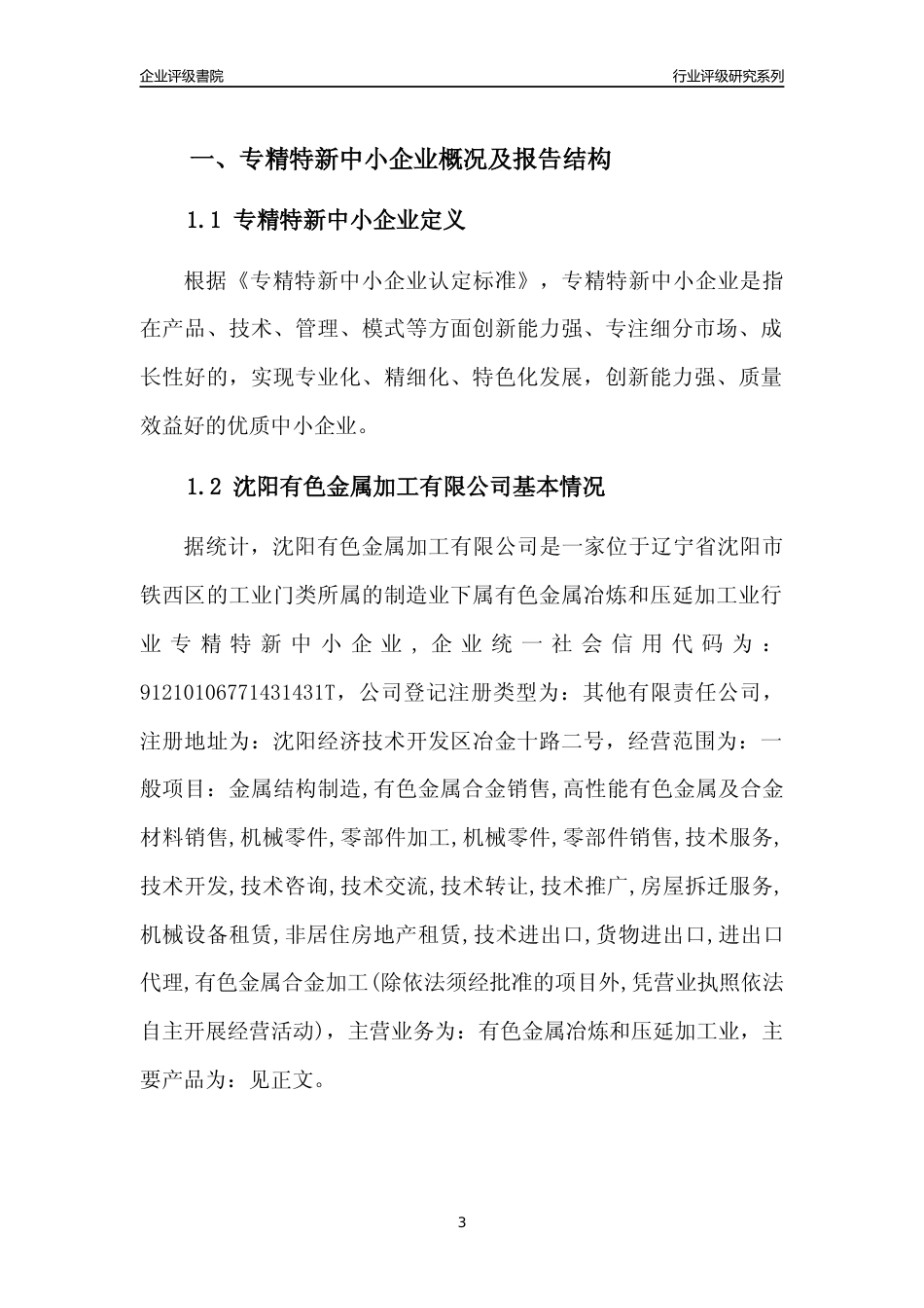 [专精特新]沈阳有色金属加工有限公司行业竞争力评级分析报告(2023版)_第3页