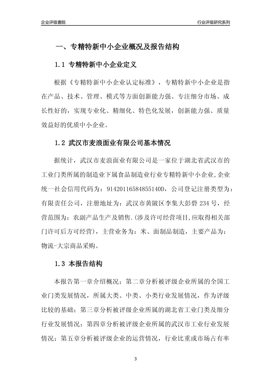 [专精特新]武汉市麦浪面业有限公司行业竞争力评级分析报告(2023版)_第3页
