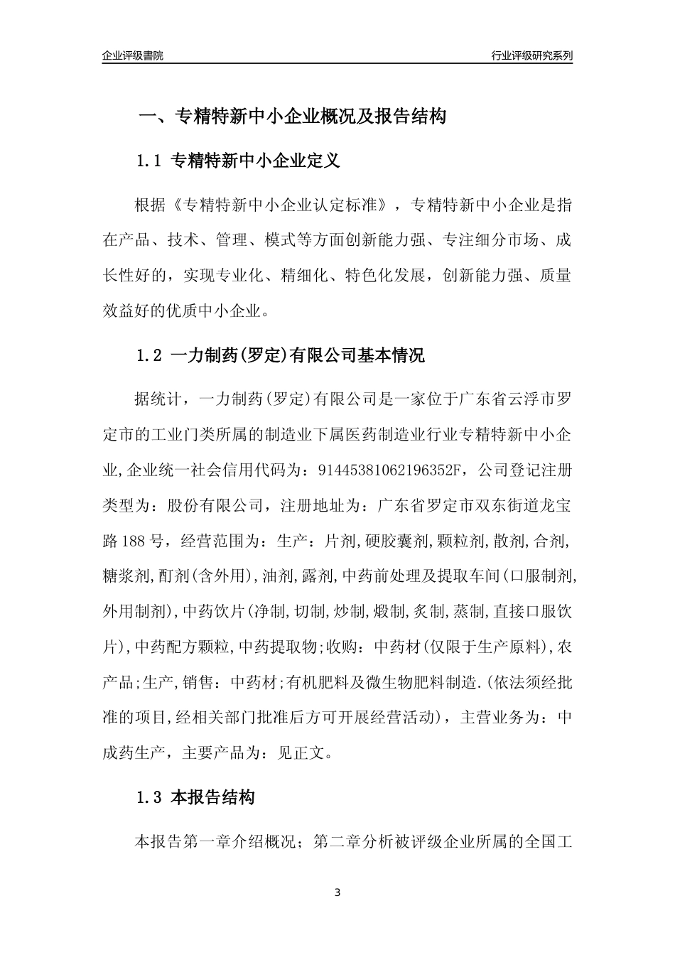 [专精特新]一力制药(罗定)有限公司行业竞争力评级分析报告(2023版)_第3页