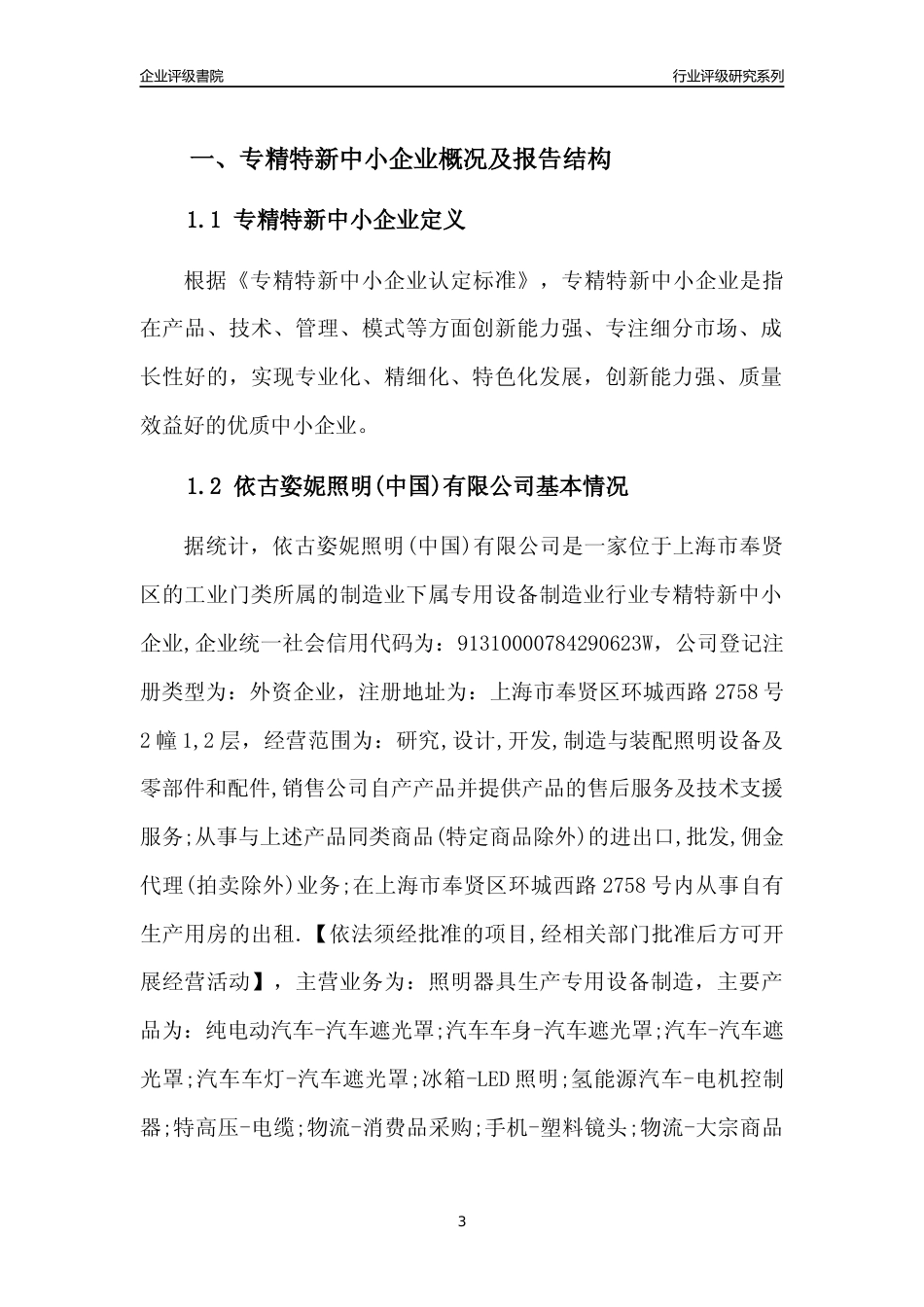 [专精特新]依古姿妮照明(中国)有限公司行业竞争力评级分析报告(2023版)_第3页