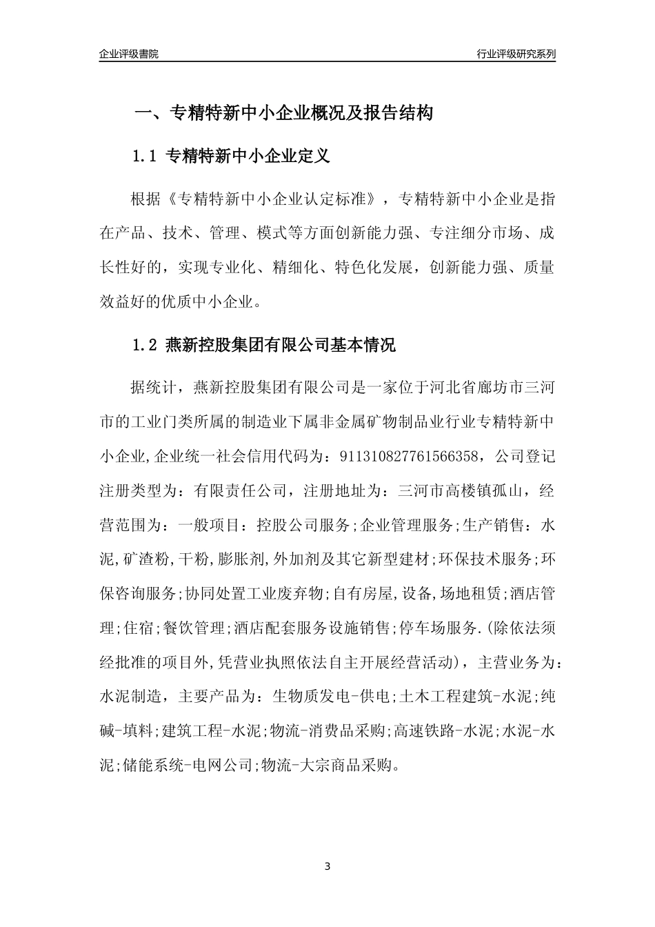 [专精特新]燕新控股集团有限公司行业竞争力评级分析报告(2023版)_第3页