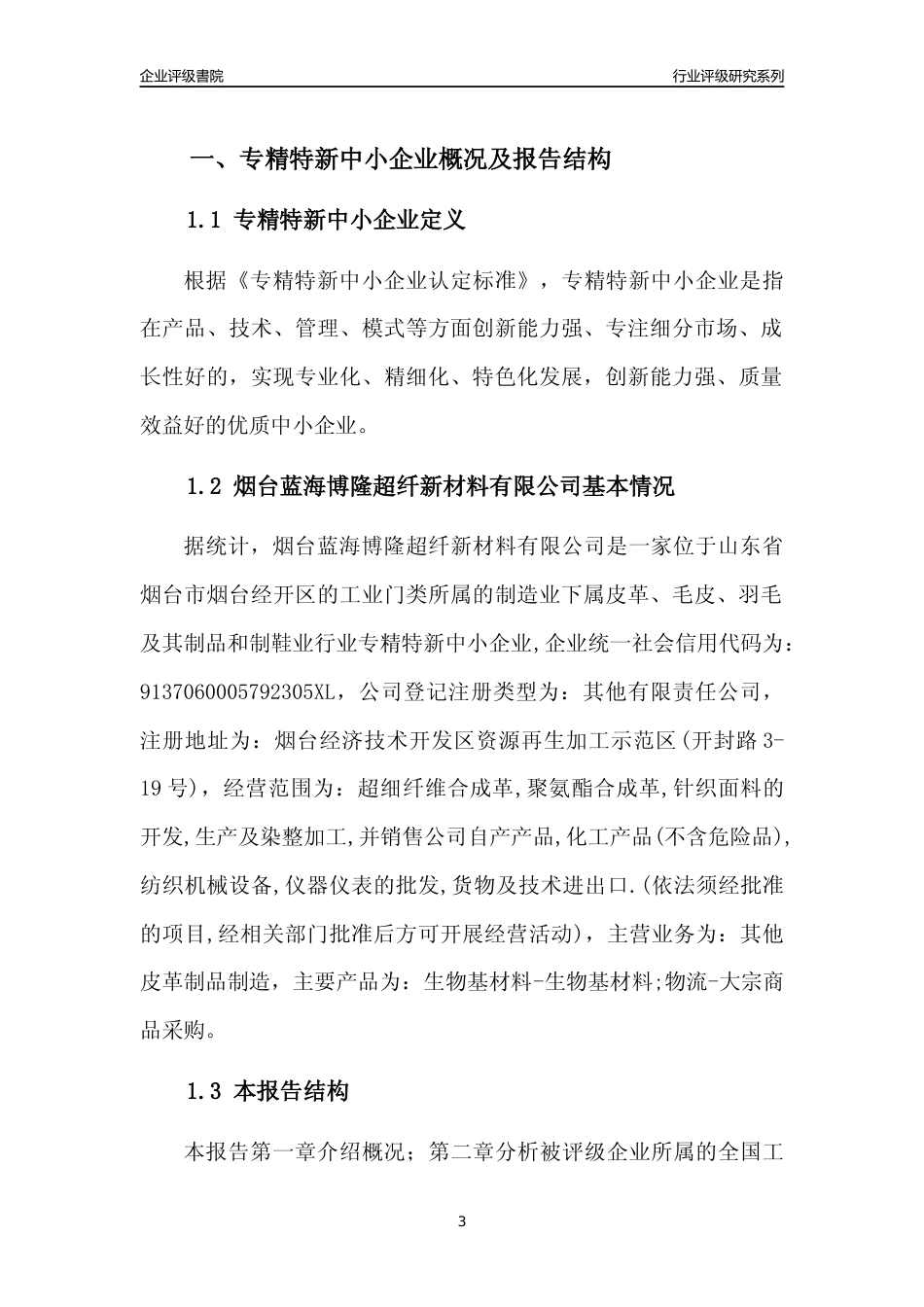 [专精特新]烟台蓝海博隆超纤新材料有限公司行业竞争力评级分析报告(2023版)_第3页