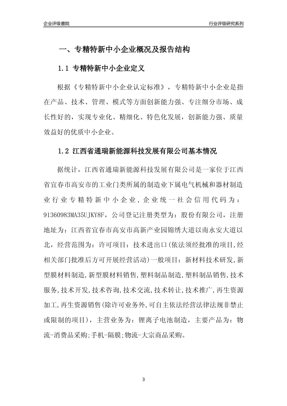 [专精特新]江西省通瑞新能源科技发展有限公司行业竞争力评级分析报告(2023版)_第3页