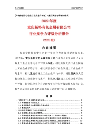 [专精特新]重庆新格有色金属有限公司行业竞争力评级分析报告(2023版)