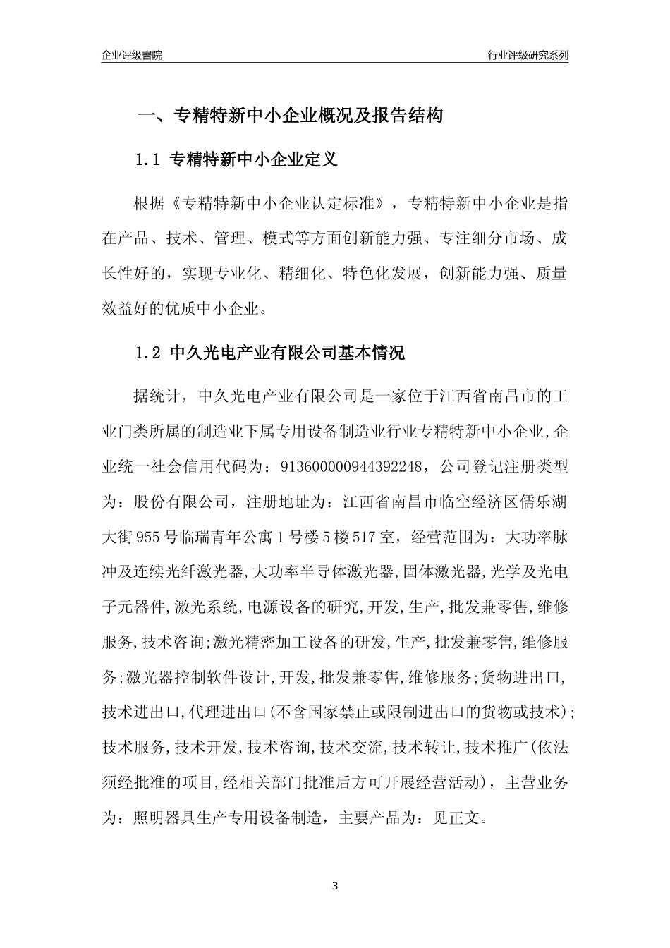 [专精特新]中久光电产业有限公司行业竞争力评级分析报告(2023版)_第3页