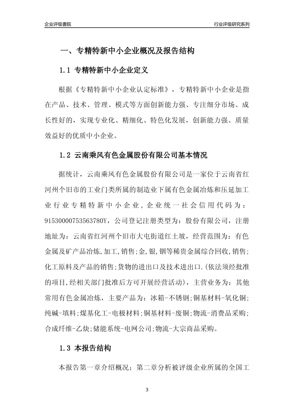 [专精特新]云南乘风有色金属股份有限公司行业竞争力评级分析报告(2023版)_第3页