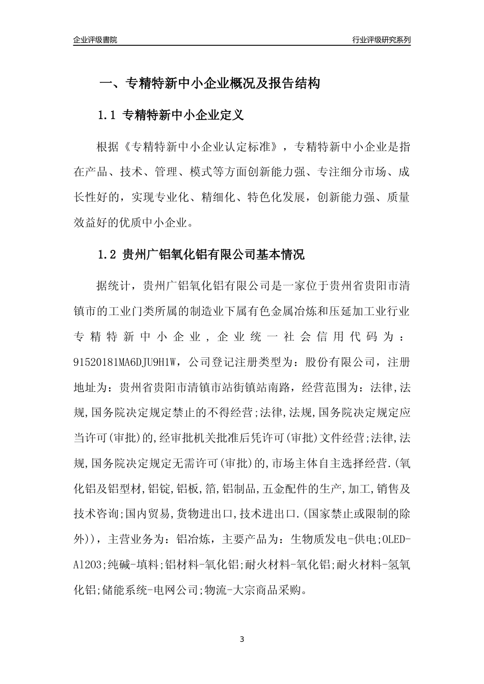 [专精特新]贵州广铝氧化铝有限公司行业竞争力评级分析报告(2023版)_第3页