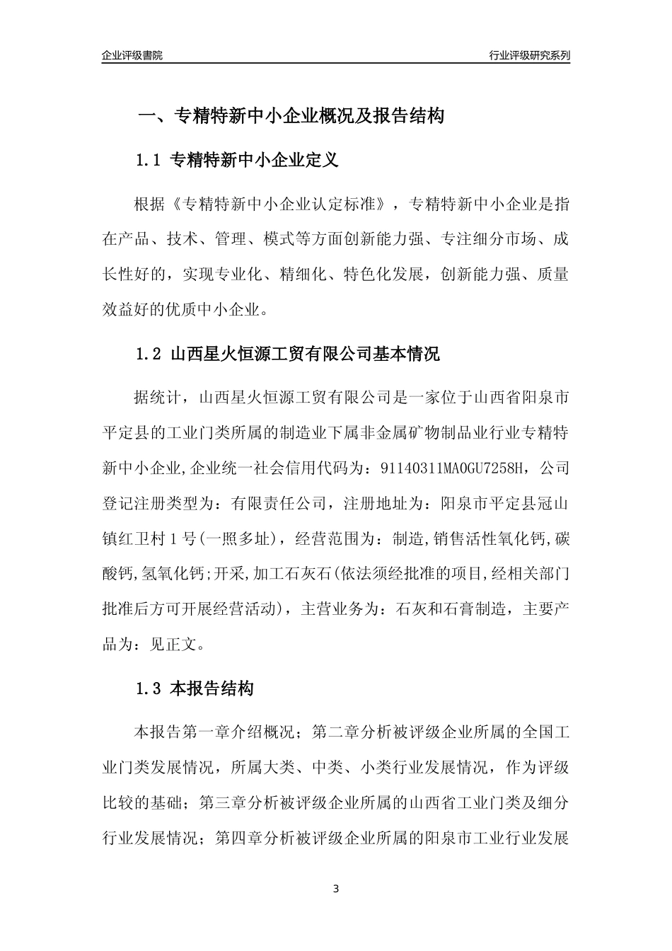 [专精特新]山西星火恒源工贸有限公司行业竞争力评级分析报告(2023版)_第3页