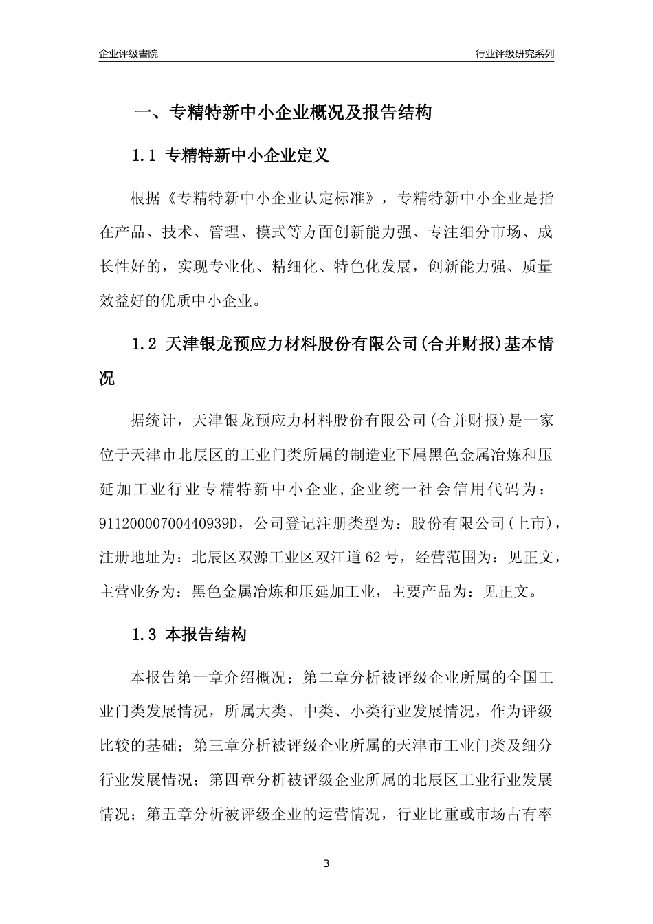 [专精特新]天津银龙预应力材料股份有限公司(合并财报)行业竞争力评级分析报告(2023版)_第3页