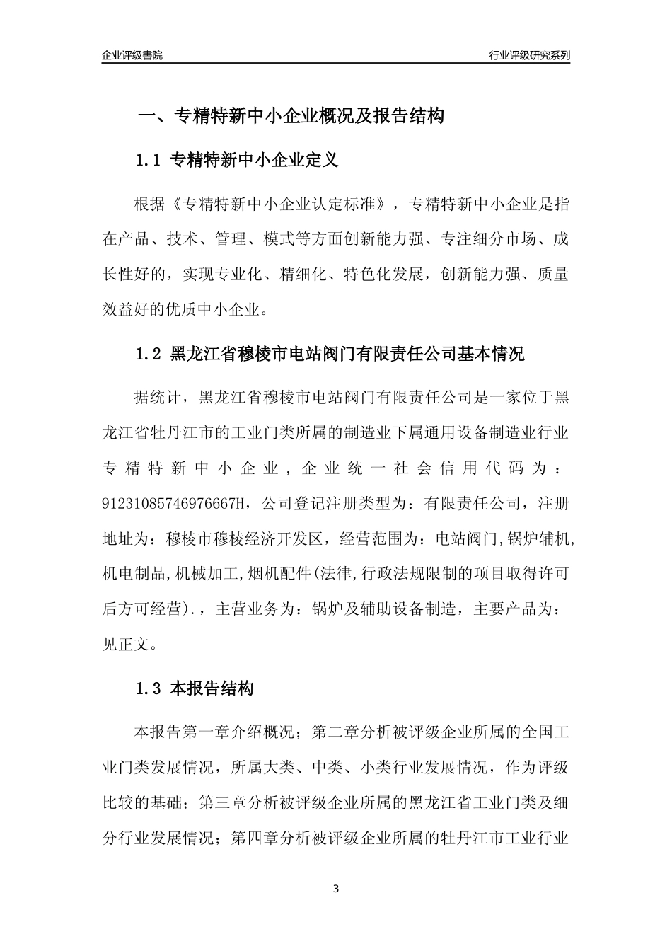 [专精特新]黑龙江省穆棱市电站阀门有限责任公司行业竞争力评级分析报告(2023版)_第3页