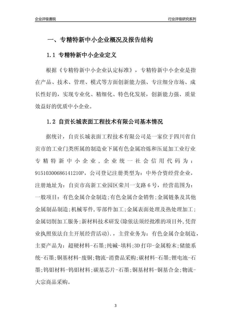 [专精特新]自贡长城表面工程技术有限公司行业竞争力评级分析报告(2023版)_第3页