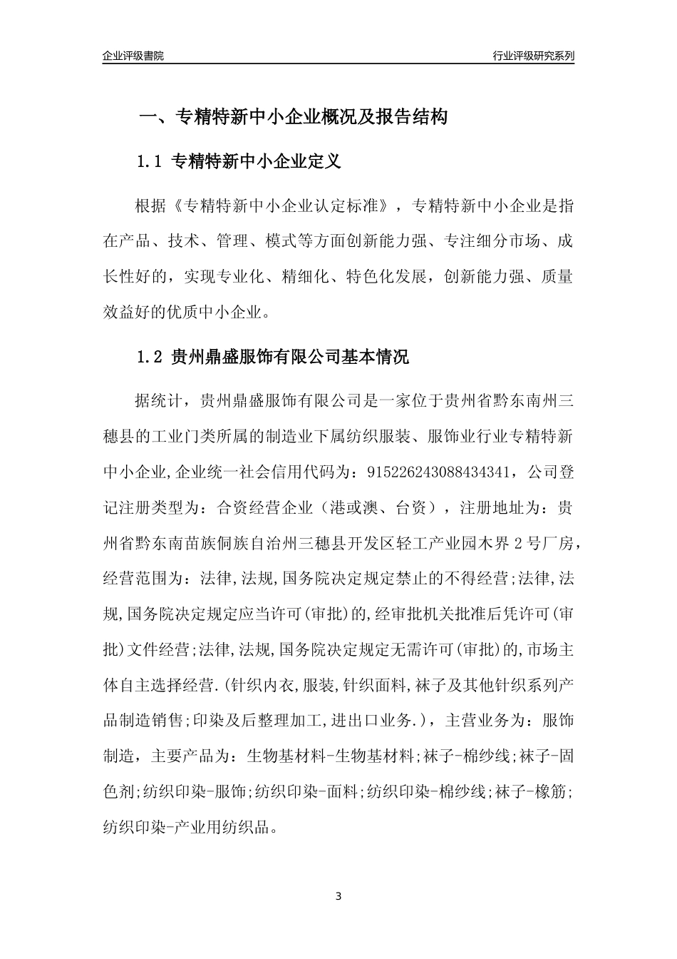 [专精特新]贵州鼎盛服饰有限公司行业竞争力评级分析报告(2023版)_第3页