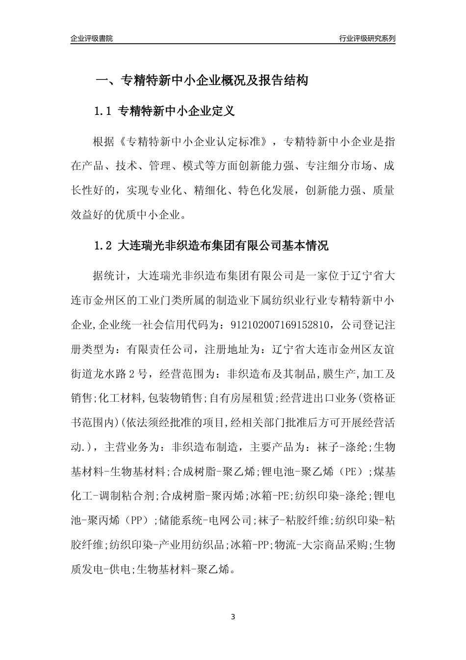 [专精特新]大连瑞光非织造布集团有限公司行业竞争力评级分析报告(2023版)_第3页