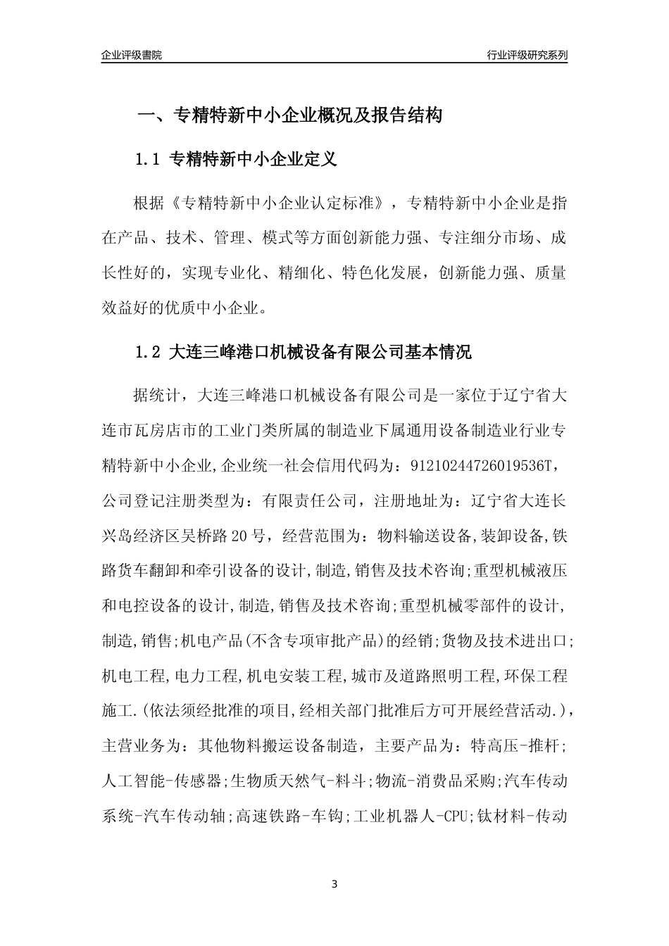 [专精特新]大连三峰港口机械设备有限公司行业竞争力评级分析报告(2023版)_第3页