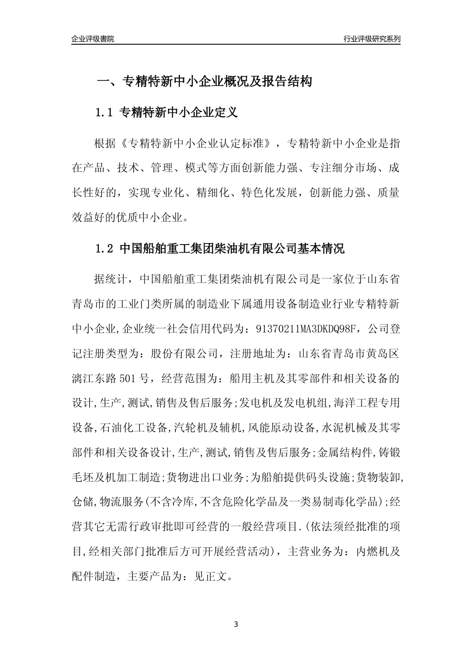 [专精特新]中国船舶重工集团柴油机有限公司行业竞争力评级分析报告(2023版)_第3页