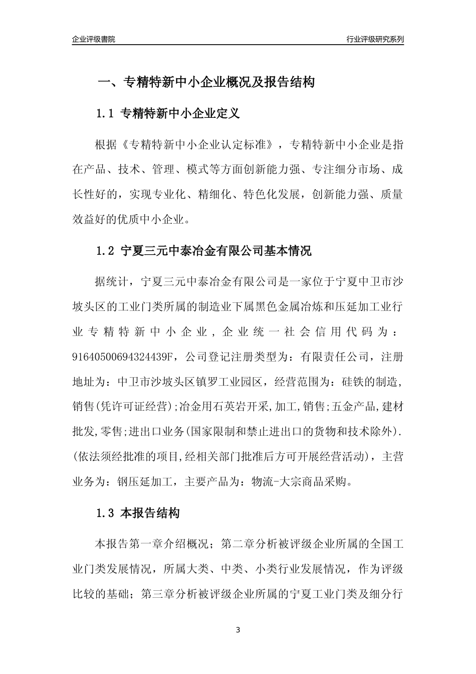 [专精特新]宁夏三元中泰冶金有限公司行业竞争力评级分析报告(2023版)_第3页