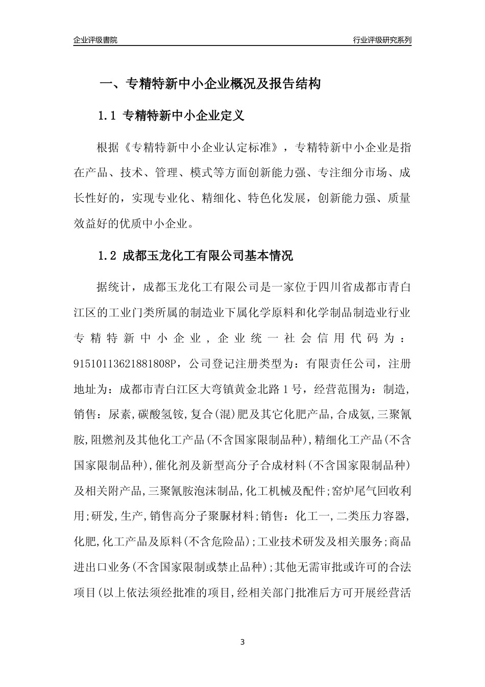 [专精特新]成都玉龙化工有限公司行业竞争力评级分析报告(2023版)_第3页