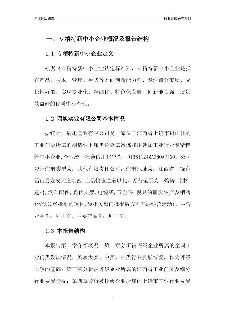 [专精特新]瑞旭实业有限公司行业竞争力评级分析报告(2023版)_第3页