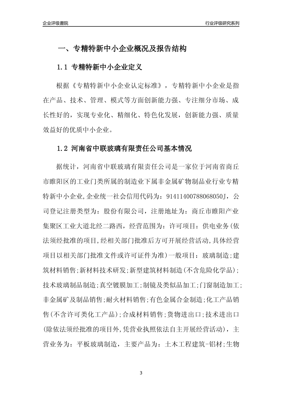 [专精特新]河南省中联玻璃有限责任公司行业竞争力评级分析报告(2023版)_第3页