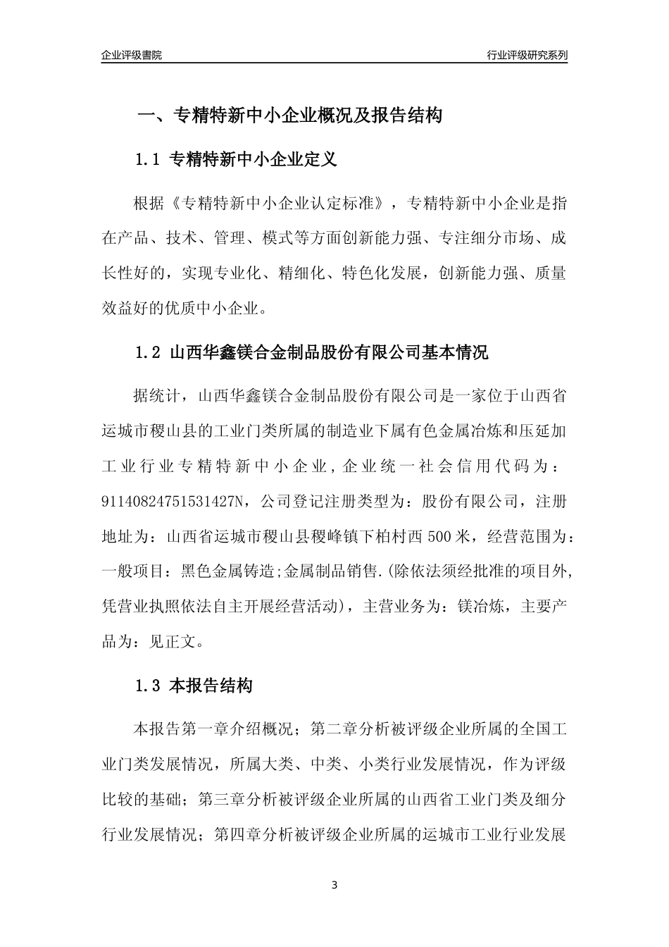 [专精特新]山西华鑫镁合金制品股份有限公司行业竞争力评级分析报告(2023版)_第3页