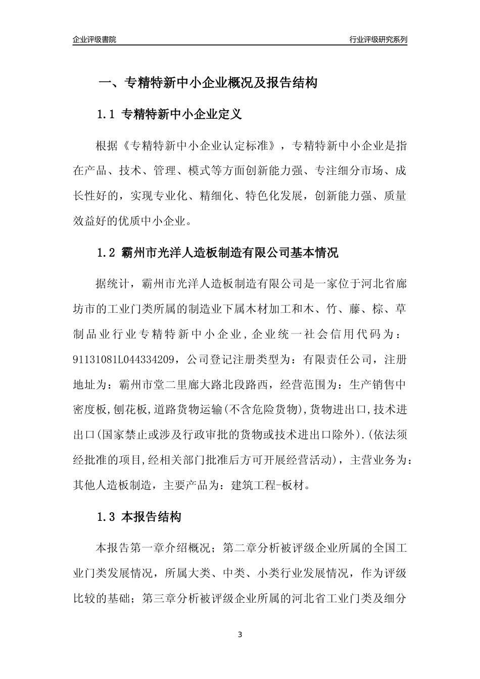 [专精特新]霸州市光洋人造板制造有限公司行业竞争力评级分析报告(2023版)_第3页