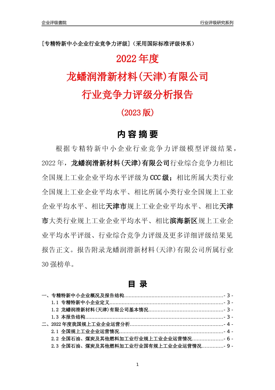 [专精特新]龙蟠润滑新材料(天津)有限公司行业竞争力评级分析报告(2023版)_第1页
